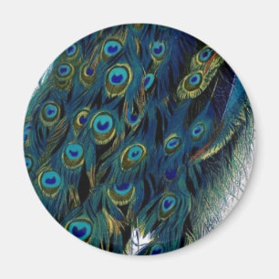 Vintage Peacock Magnet