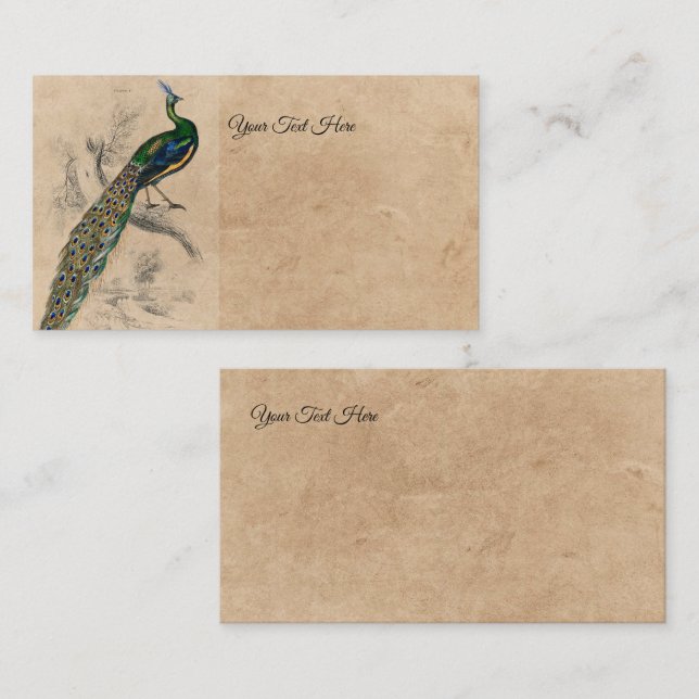 Vintage Peacock Natural History Print Business Card (Front/Back)