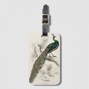 Vintage Peacock Natural History Print Luggage Tag