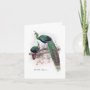Vintage Peacock Notecard