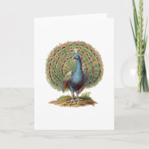 Vintage Peacock...notecard Card