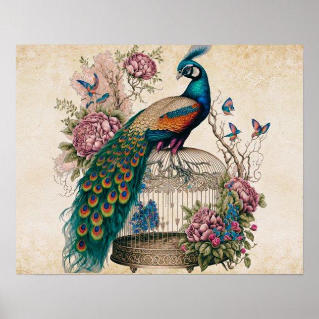 Vintage Peacock on Bird Cage Victorian Poster (Front)