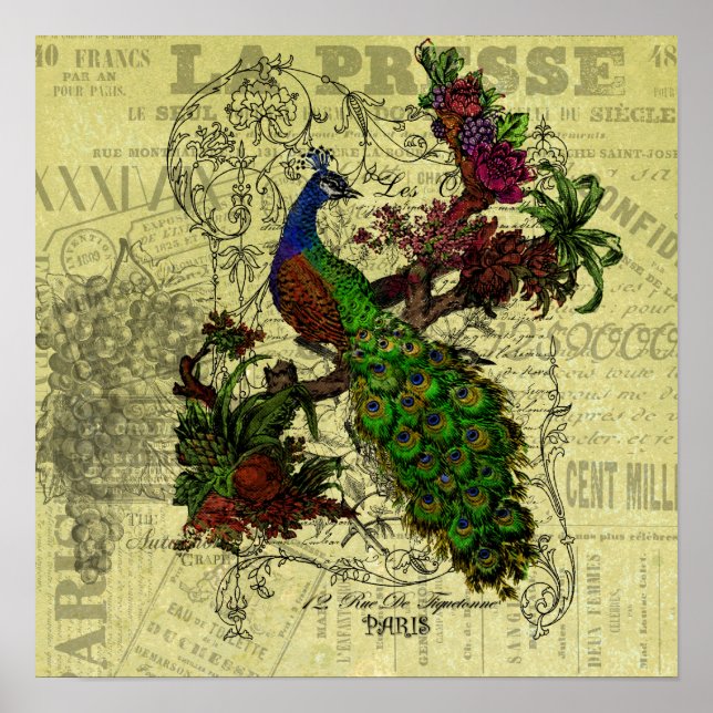 Vintage Peacock on Branch Apparel and Gifts Poster (Front)