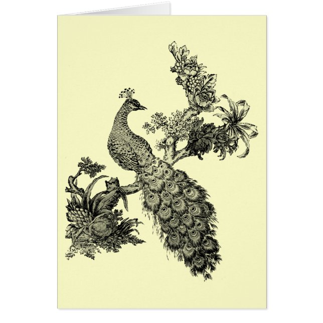 Vintage Peacock on Branch T-shirts and Gifts (Front)