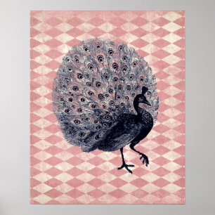 Vintage Peacock on Pink Argyle Poster