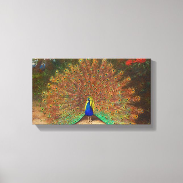 Vintage Peacock Painting Canvas Print (Front)