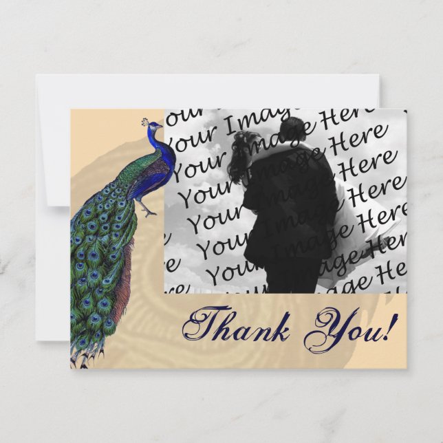 Vintage Peacock Photo Thank You Cards (Front)