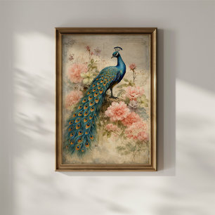 Vintage Peacock Poster