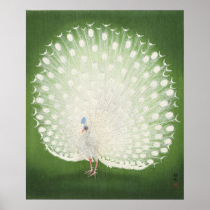 Vintage Peacock, Retro Japanese Poster