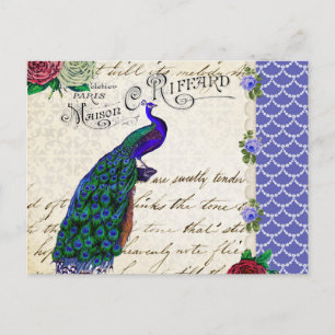 Vintage Peacock Song Collage Postcard