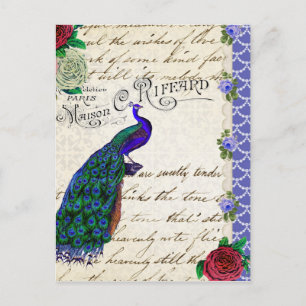 Vintage Peacock Song Collage Postcard