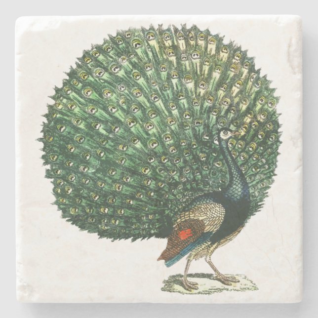 Vintage peacock stone coaster (Front)