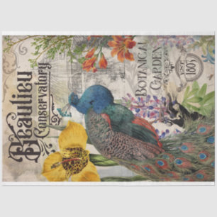 Vintage Peacock Tissue Paper