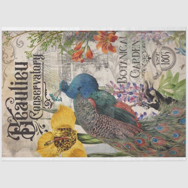 Vintage Peacock Tissue Paper (Front)