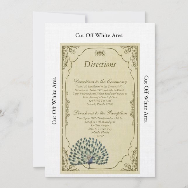 Vintage Peacock Wedding Directions Card (Front)