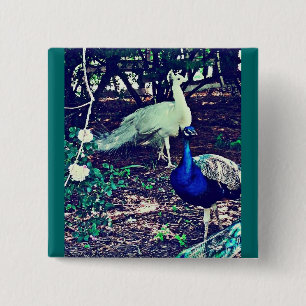 Vintage Peacocks 15 Cm Square Badge