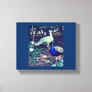 Vintage Peacocks Canvas Print