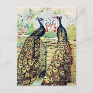 Vintage Peacocks - Happy Mother's Day Postcard
