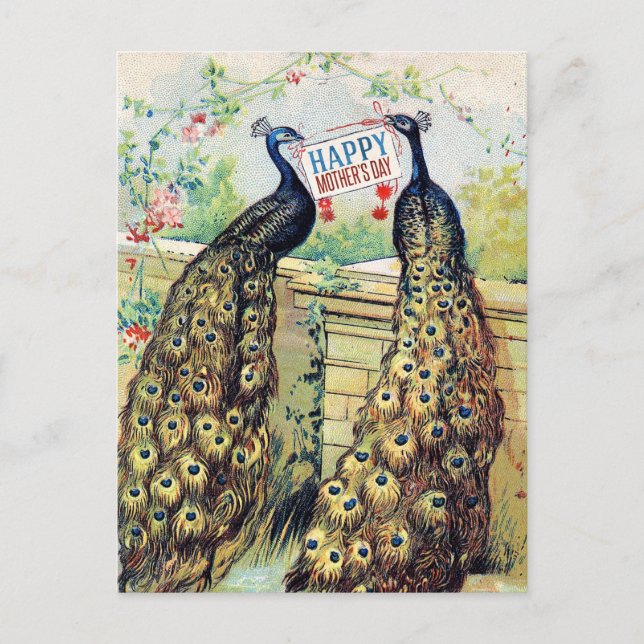 Vintage Peacocks - Happy Mother's Day Postcard (Front)