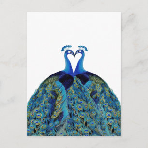 Vintage Peacocks Kissing Wedding Gifts Postcard