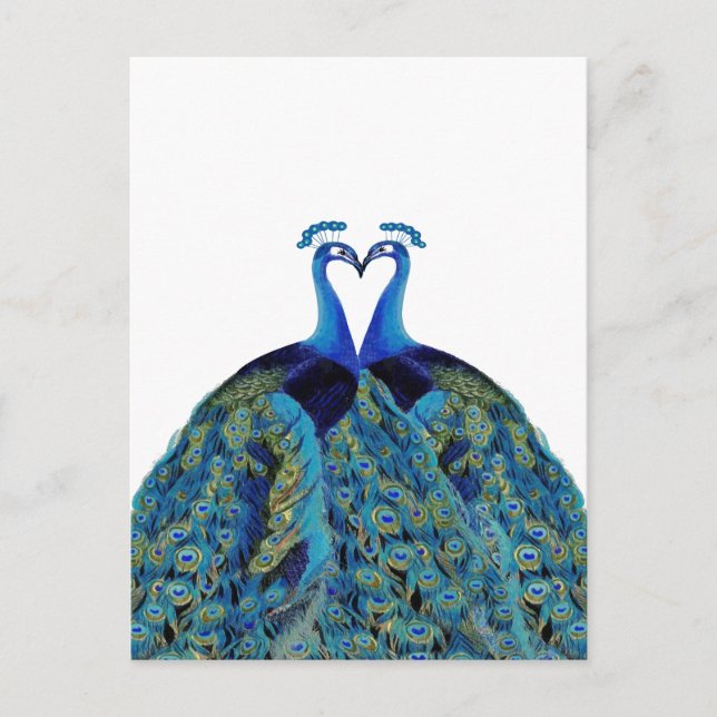 Vintage Peacocks Kissing Wedding Gifts Postcard (Front)