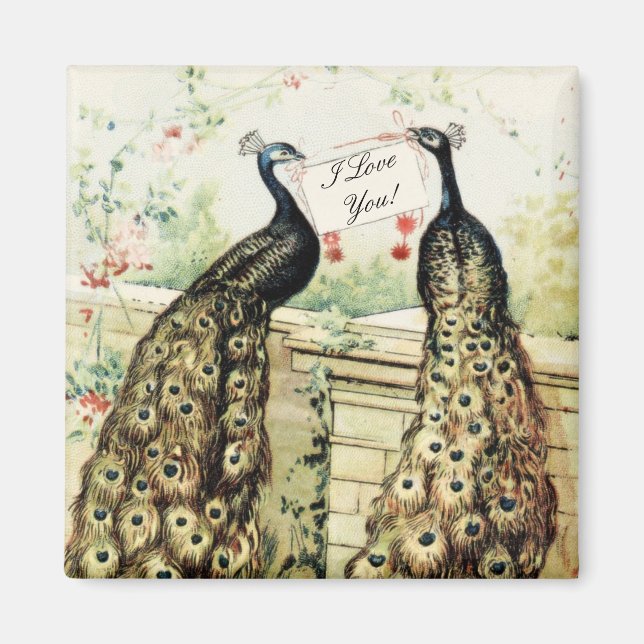 Vintage Peacocks Love Magnet (Front)