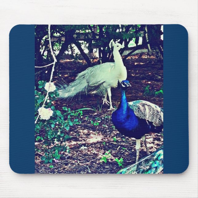Vintage Peacocks Mouse Mat (Front)