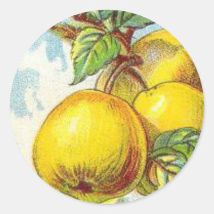 Vintage pear fruit illustration yellow green classic round sticker