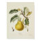 Vintage Pear Poster