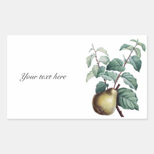 Vintage Pear Rectangular Sticker