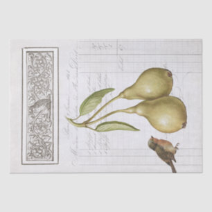 Vintage Pear Robin French Owl Leaves Decoupage  Tissue Paper