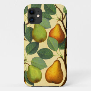 Vintage Pears iPhone 11 Case
