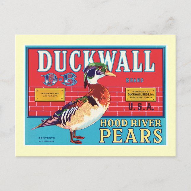 Vintage Pears Food Product Label Postcard (Front)