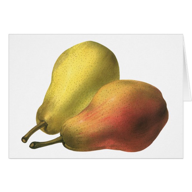 Vintage Pears, Organic Foods, Ripe Fruit (Front Horizontal)