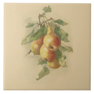 Vintage pears tile