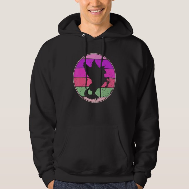 Vintage Pegasus Retro Pegasus Silhouette Cute Unic Hoodie (Front)