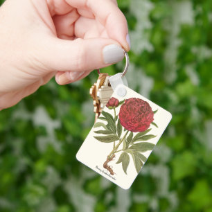 Vintage Peonies, Peony Flowers by Basilius Besler Key Ring