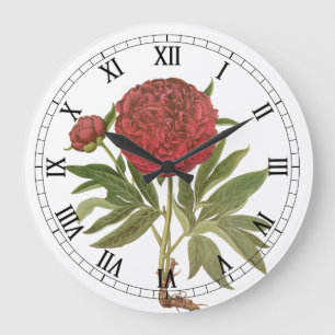 Vintage Peonies, Peony Flowers by Basilius Besler Large Clock