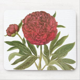 Vintage Peonies, Peony Flowers by Basilius Besler Mouse Mat