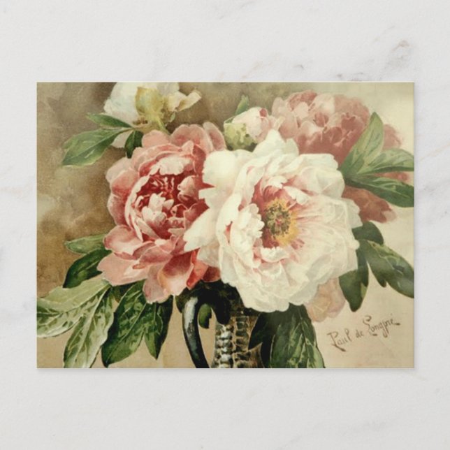 Vintage Peonies Postcard (Front)