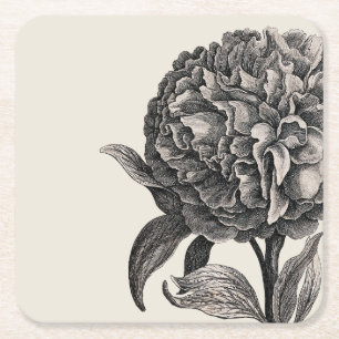 Vintage Peony Flower Elegant Floral Botanical  Square Paper Coaster