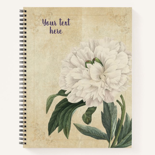 Vintage Peony or Paeonia officinalis Notebook (Front)