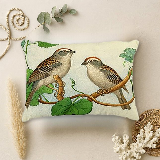 Vintage Perched Birds Decorative Cushion (Creator Uploaded)