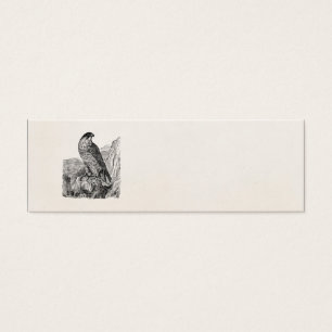 Vintage Peregrine Falcon Personalised Retro Birds