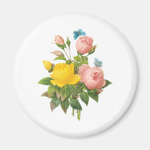 Vintage Persian Yellow Rose Tea Roses by Redoute Magnet