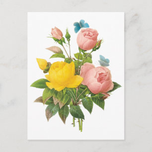 Vintage Persian Yellow Rose Tea Roses by Redoute Postcard