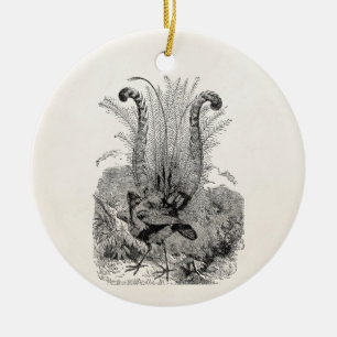 Vintage Personalised Bird - Retro Lyrebird Birds Ceramic Tree Decoration