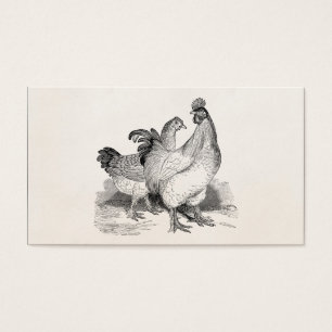 Vintage Personalised Chicken Rooster Cochin Birds