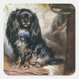 Vintage Pet Animals, Black Toy Spaniel Puppy Dog Square Sticker
