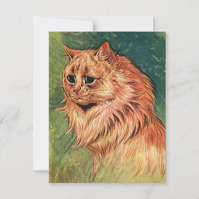 Vintage Pet Animals, Long Haired Orange Cat (Front)